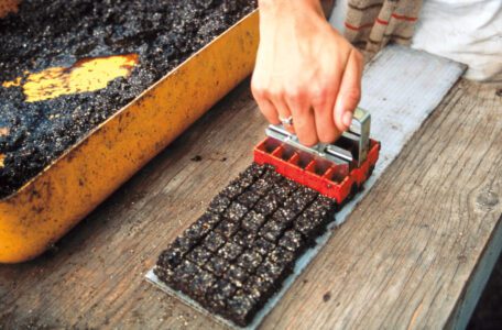 Seed Starting with Soil Blocks & Recipes Image